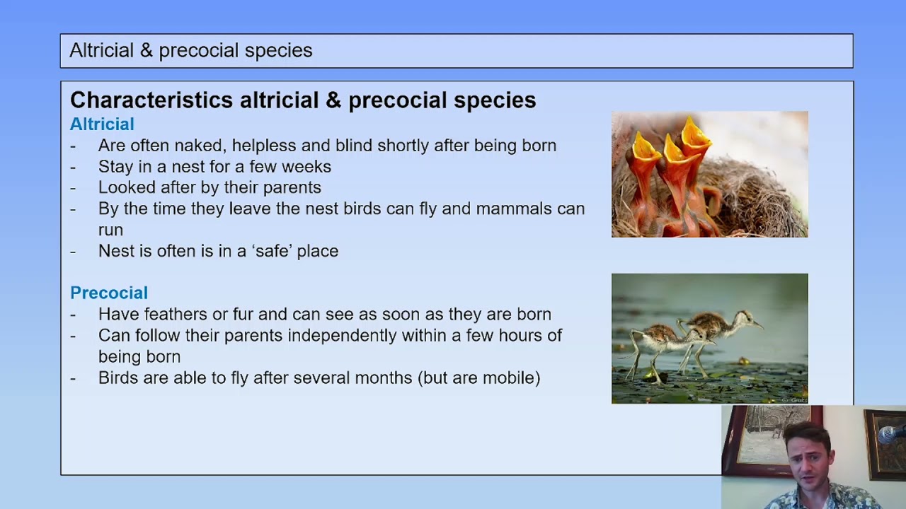 1 H/V (7th grade) | What is biology | 7 | Altricial vs Precocial species