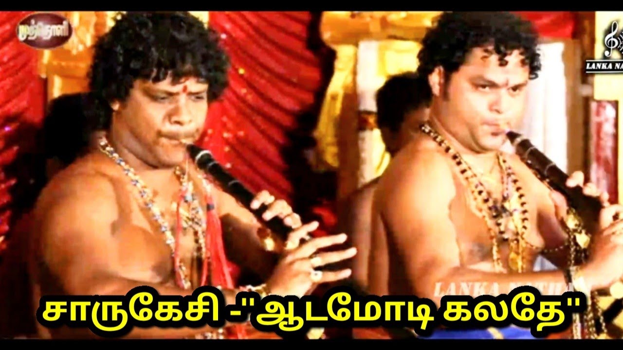 Charukesi-Adamodi Galade | Carnatic Music | PS.Balamurugan and KP.Kumaran