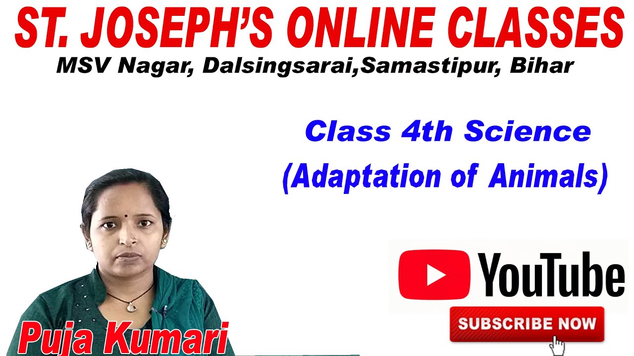 Class 4th Science(Adaptation in Animals)