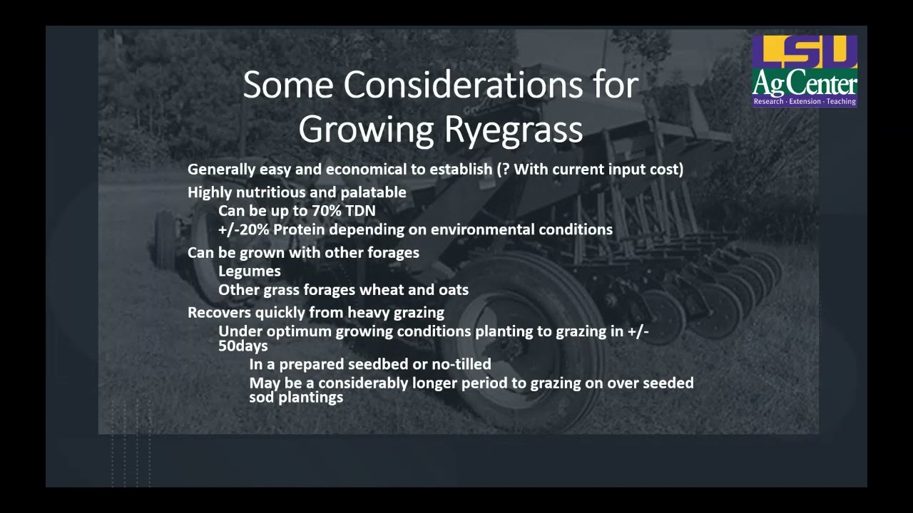 All Things Ryegrass &ndash; Beef Brunch Educational Series