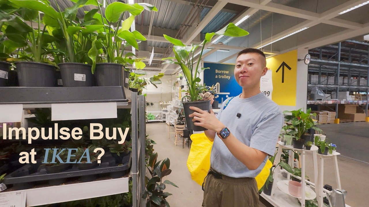 Действительно ли IKEA подтолкнула нас к импульсивным покупкам?