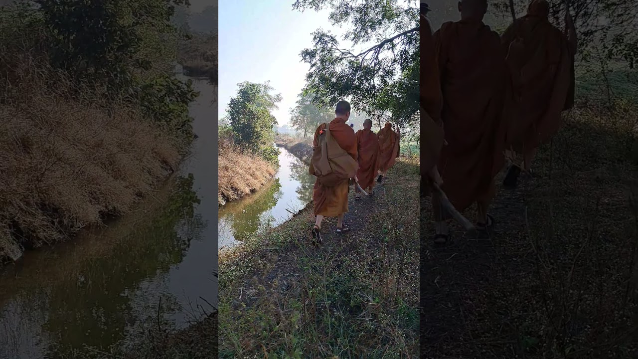 walking monks teaching buddha Dhamma talk #shorts #shortsfeed #short #buddhistchanting