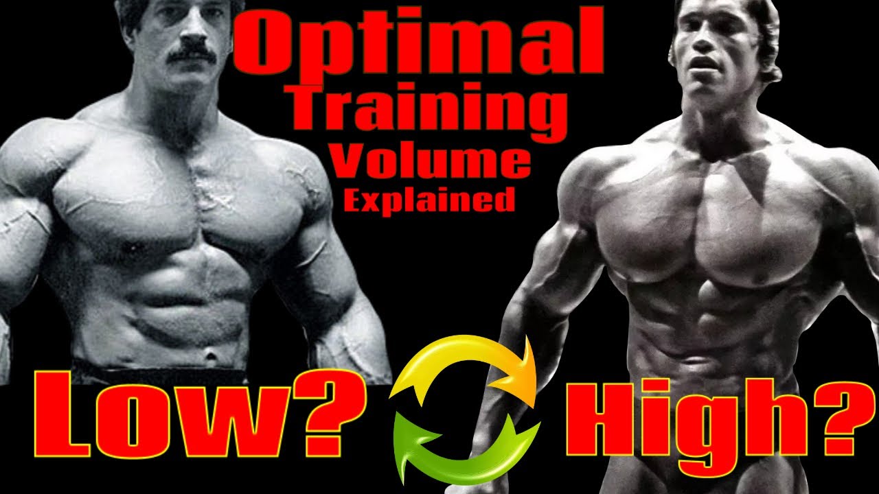 Ideal Volume For Maximum Gains (6 Factors)