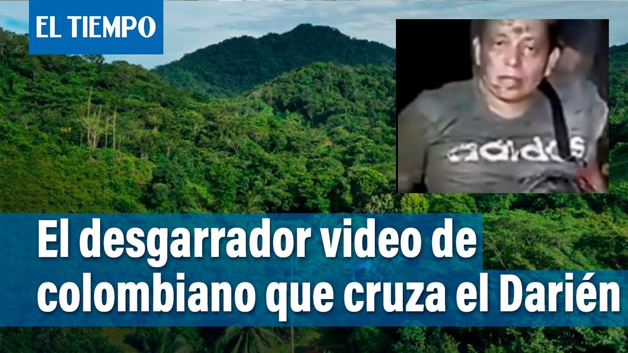 El desgarrador video de colombiano que cruza el Darién | El Tiempo