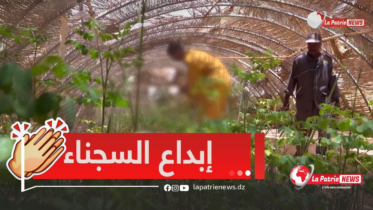 لأول مرة..مشاهد حصرية من داخل البيئة المفتوحة بالمؤسسة العقابية بولاية أدرار..انامل مبدعة من السجناء