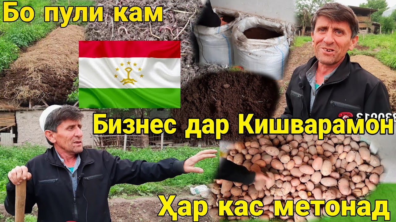 Бизнес дар шароити Хона бо пули кам Истеҳсоли Биогумус бо Кирмак 23 мая 2022