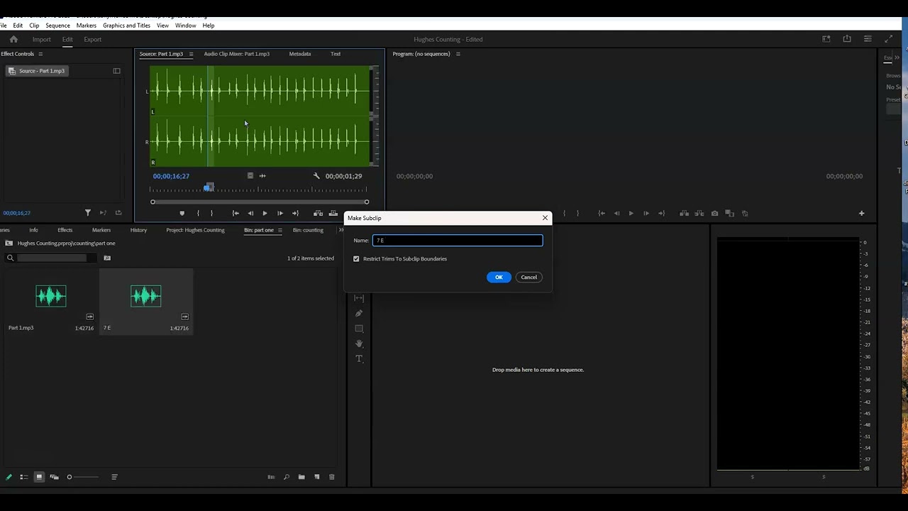 Video importance bins and how subclips