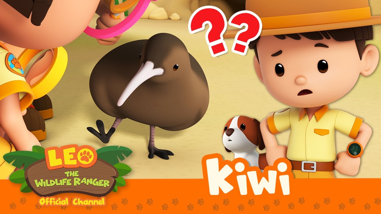 THIS BIRD HAS NO WINGS?! 🪶🐦 | Kiwi | Leo the Wildlife Ranger | #compilation