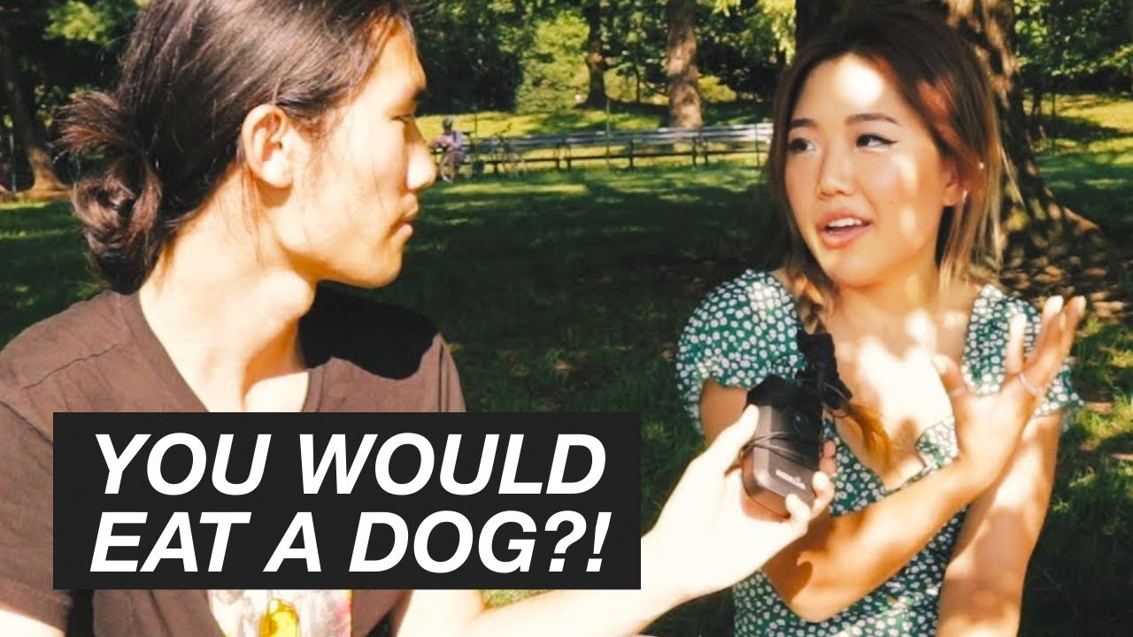Would You Eat Dog Meat?