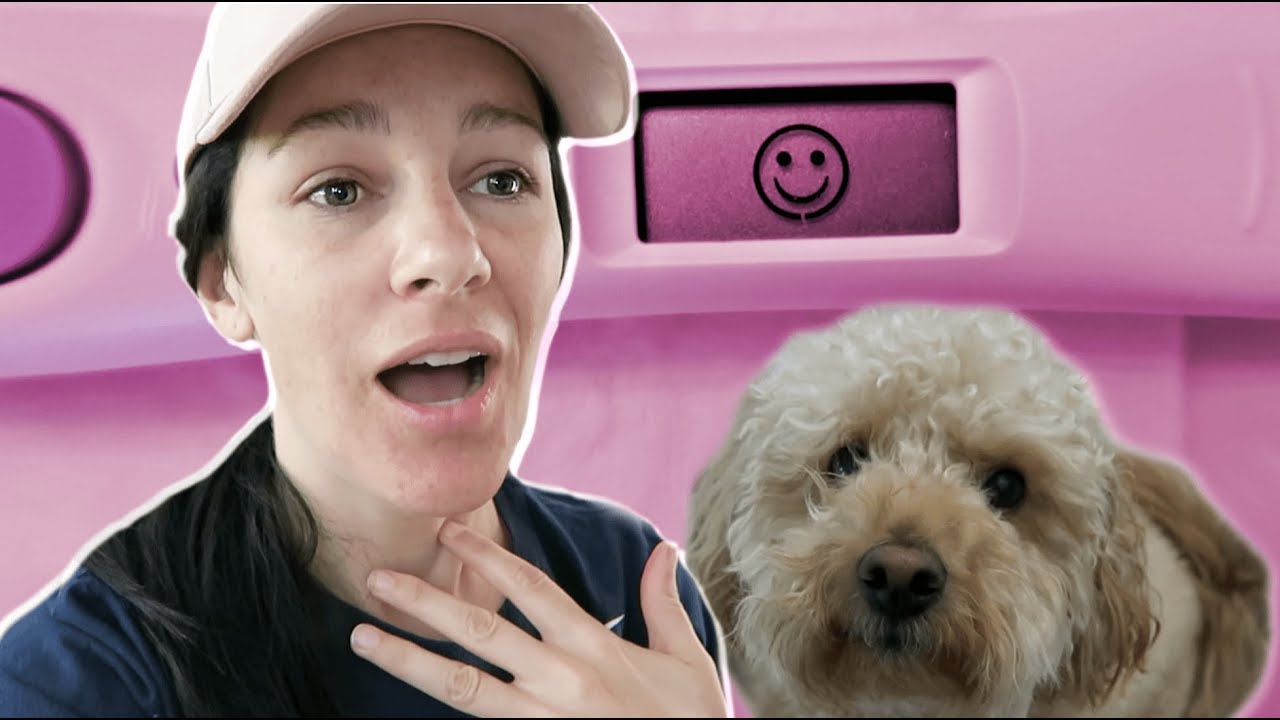 🎉👶HIGH FERTILITY ON CD 12 & TTC UPDATE!