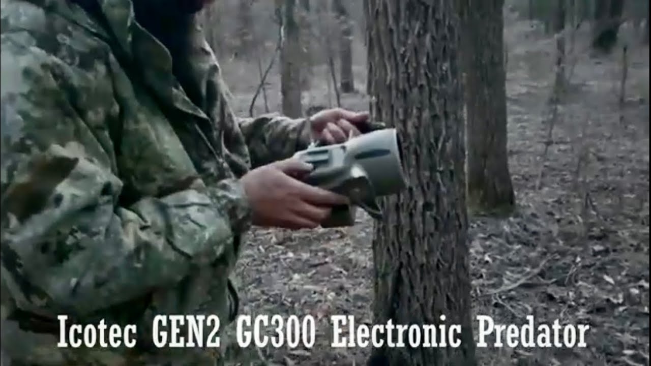 Coyote Calling with the Icotec Predator Call