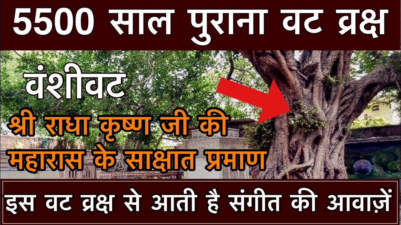 “वंशीवट” वृंदावन धाम - सम्पूर्ण कथा व दर्शन | Vanshivat - Best place to visite Vrindavan dham