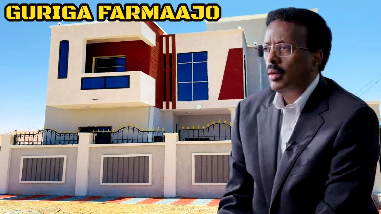 DAAWO|