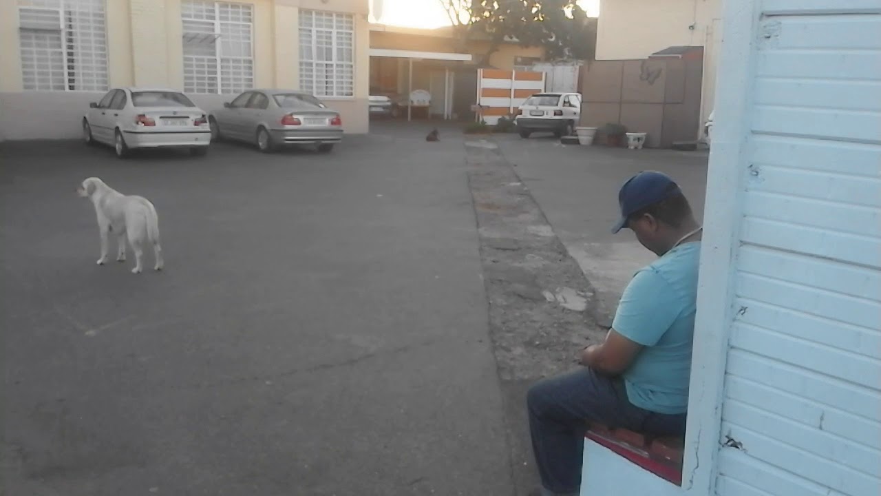 Elim Shelter Elsies River