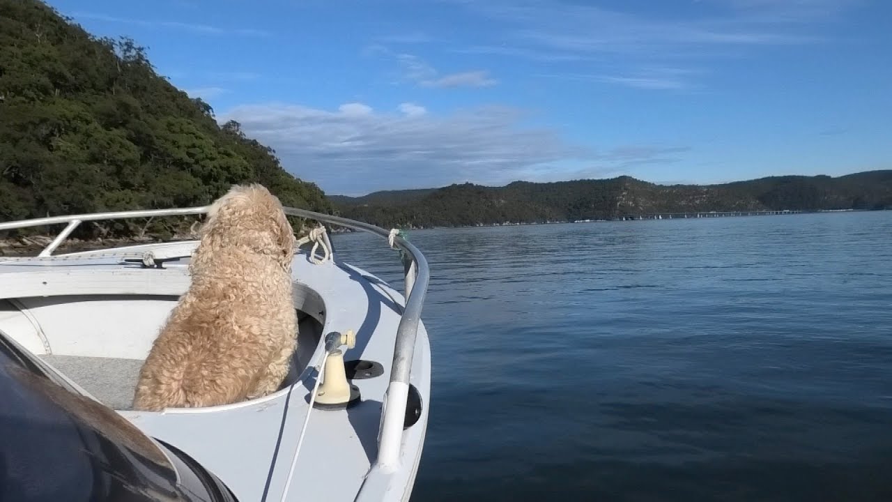 Prop shaft and rudder post installation