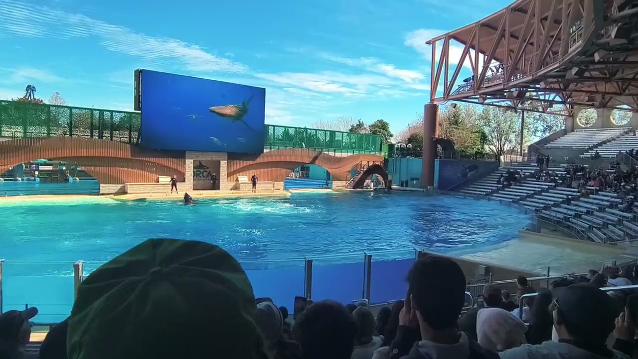 SeaWorld 
