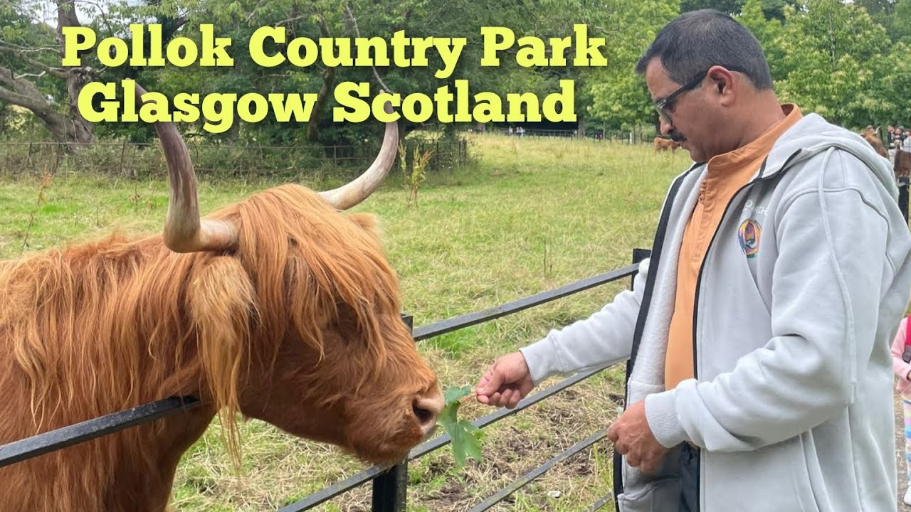 Pollok Country Park | Glasgow | Scotland