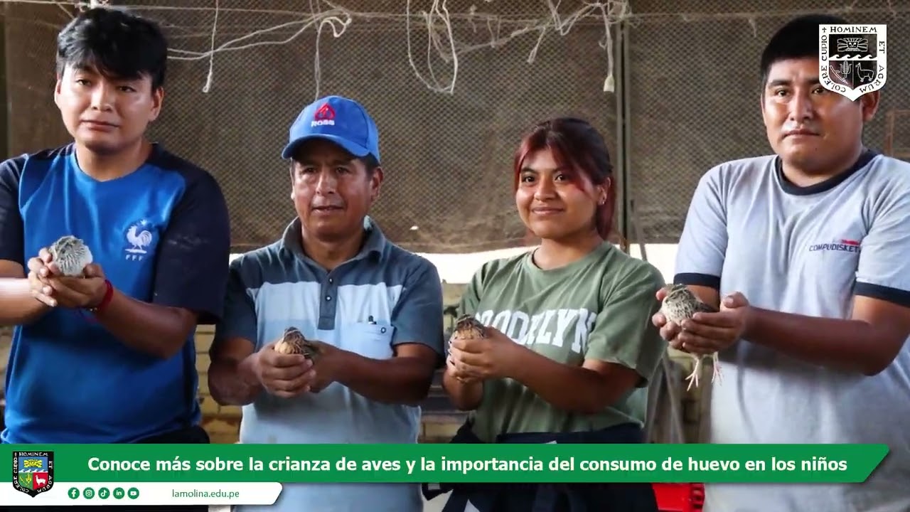🥚 ¿Sabías que el consumo de huevo ayuda a prevenir la anemia en los niños?