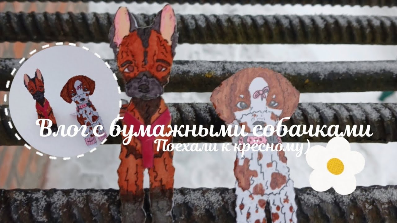 Влог с бумажными собачками!Поехали к крёсному❄️