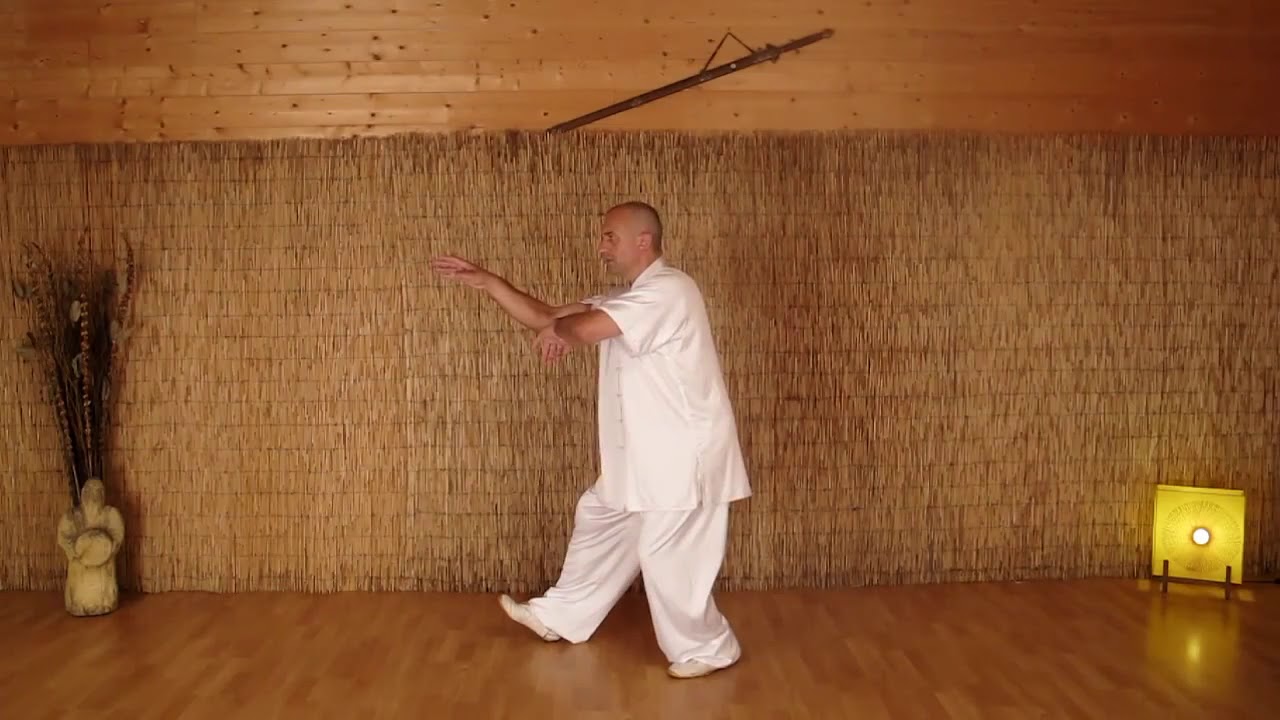 Taiji Quan style Yang ancien extrait