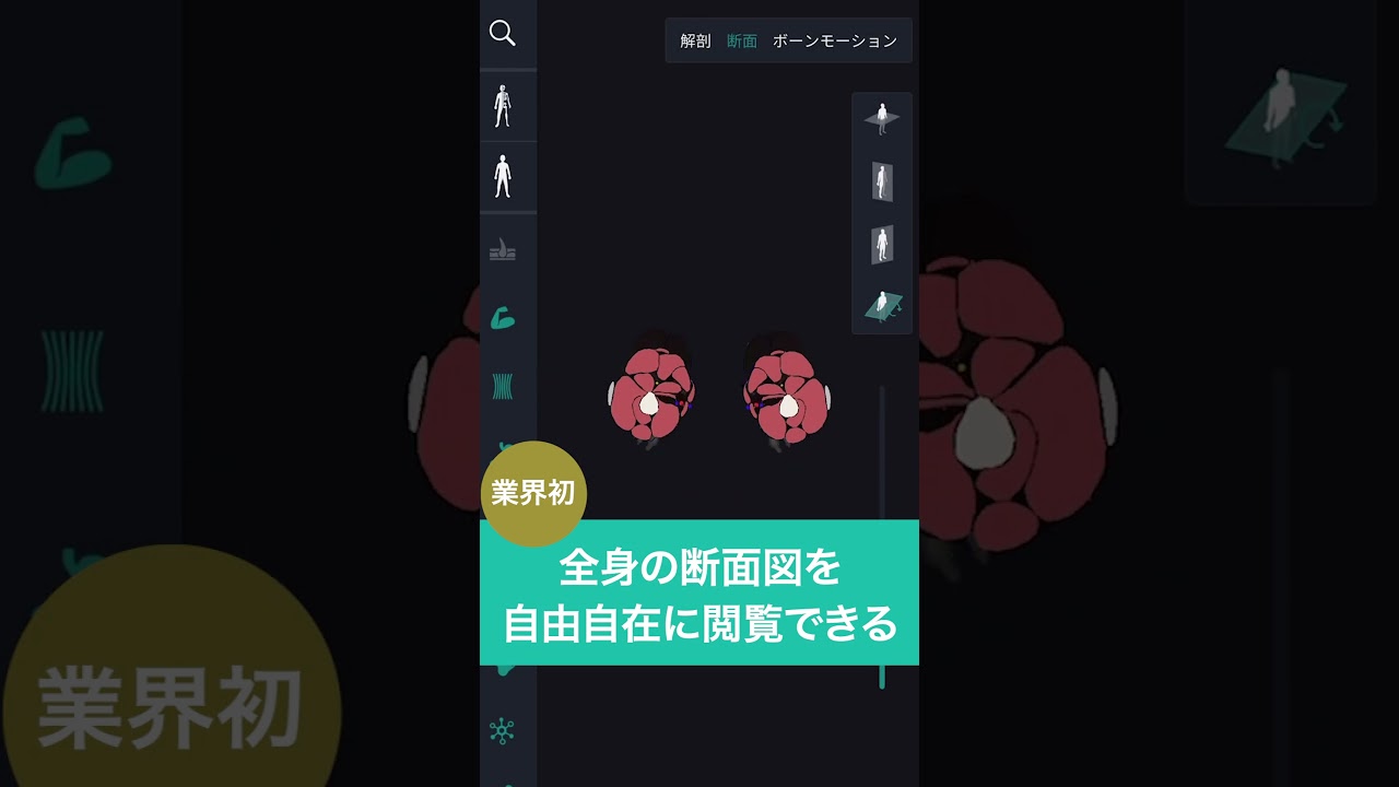 teamLab Body Pro好評配信中