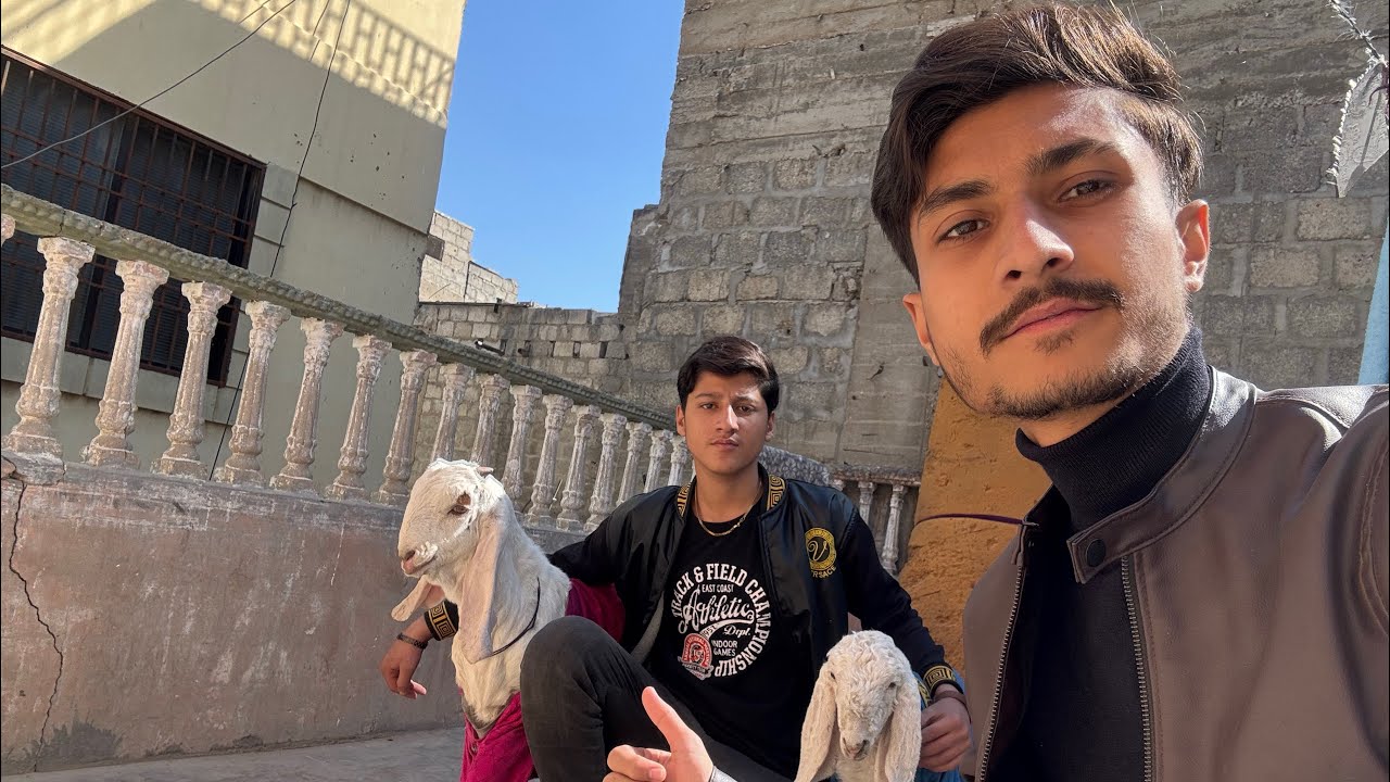Bakra ki Tabiyat theek hogi hai Alhumdulillah 😍☺️🫶🏽