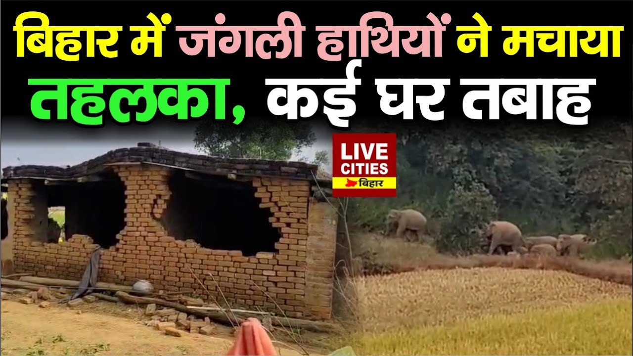 Jamui में Jharkhand के Elephant ने मचाया तह/लका, कई घरों को किया तबाह, दह/शत में गांव वाले...
