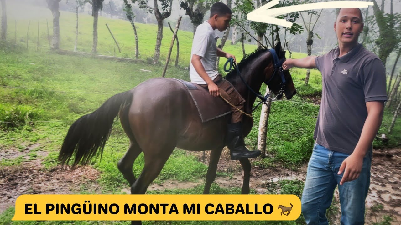 MONTAMOS MI CABALLO EN LA FINCA MIENTRAS LLUEVE 🤯