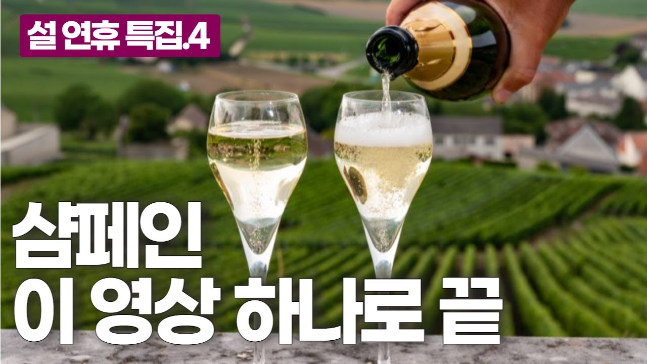샹파뉴 와인산지 정주행 통합본 Full ver.📃