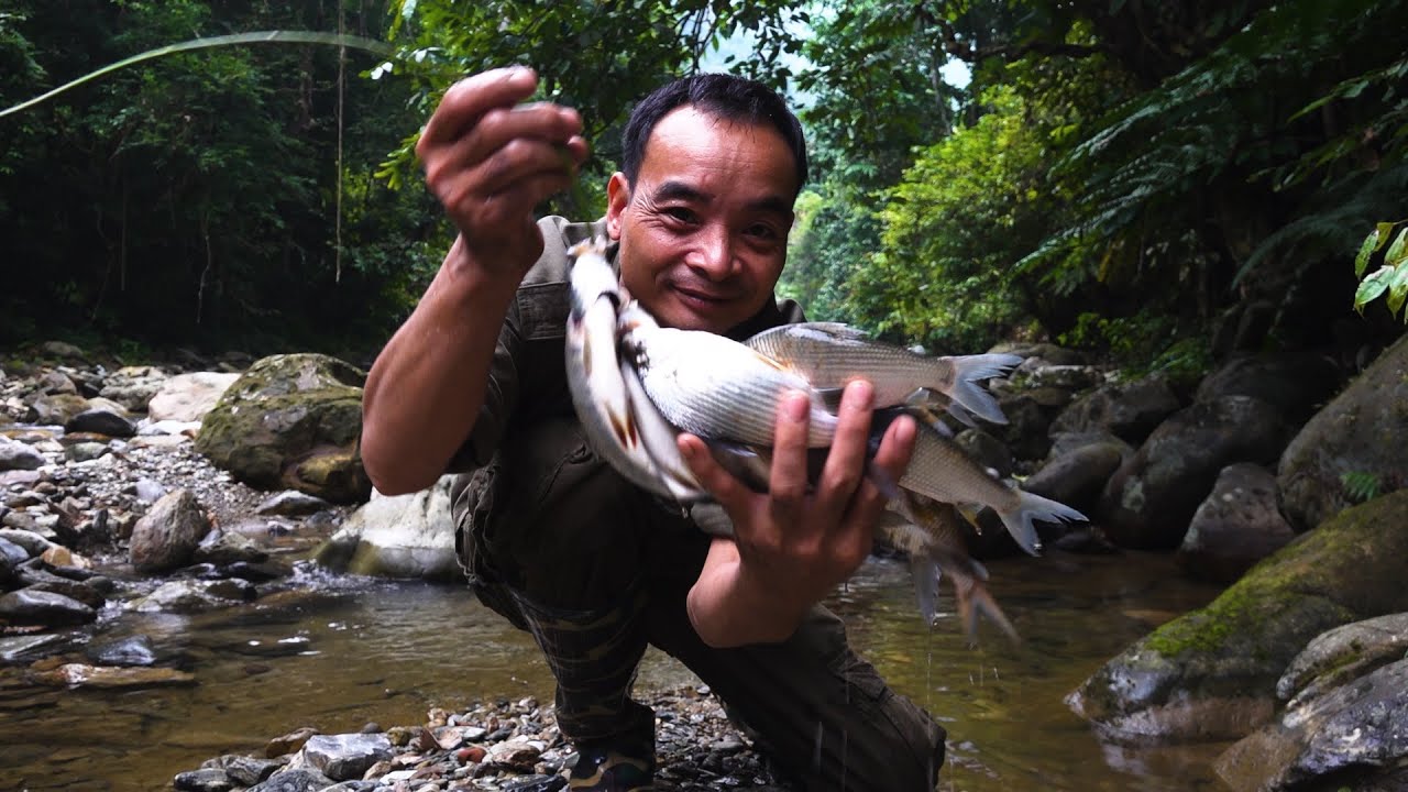 How to use plant poison to catch fish by hand | LIVING OFF THE GRID | Episode 7