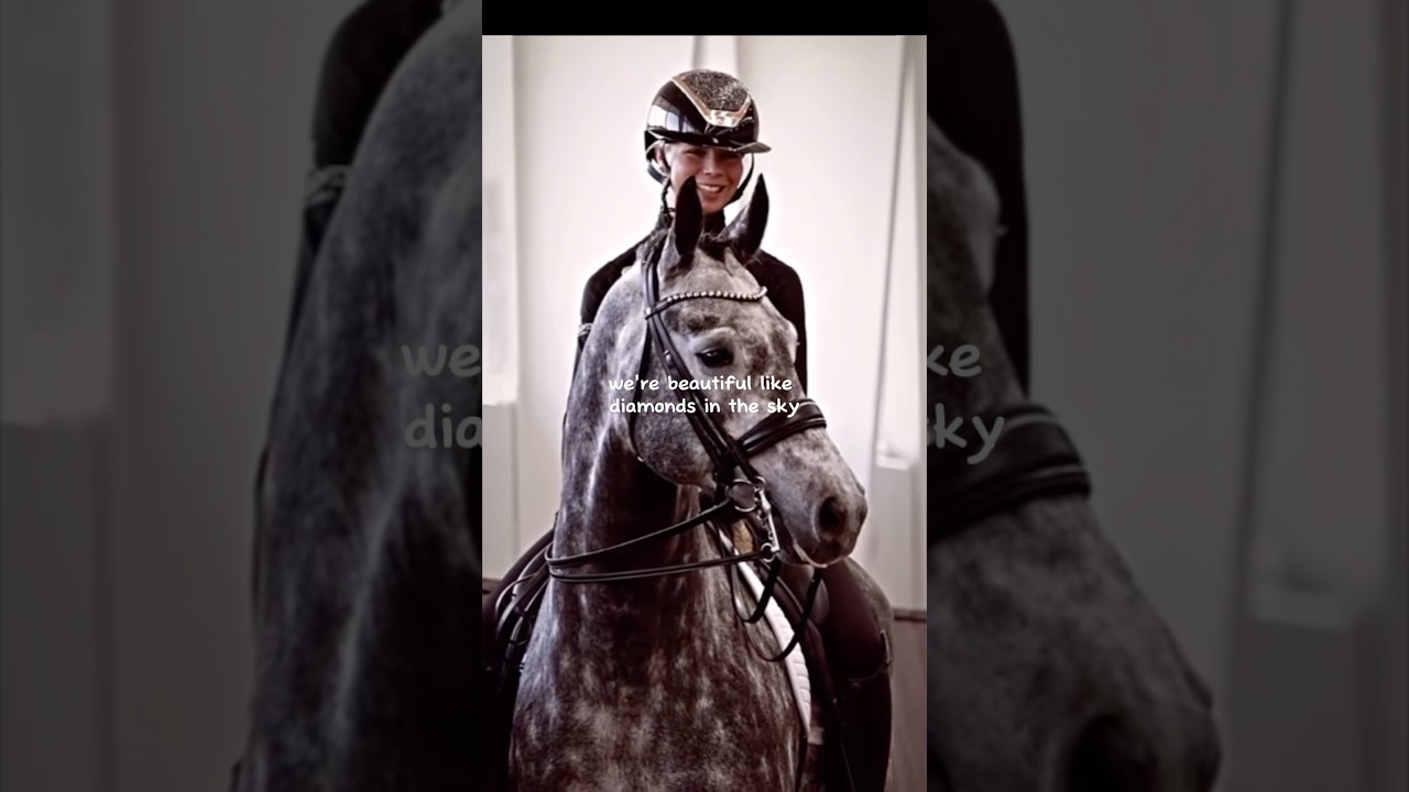 Diamonds by Rihanna a wonderful song #horse #equestrianshow #horseenthusiast #sportshorse