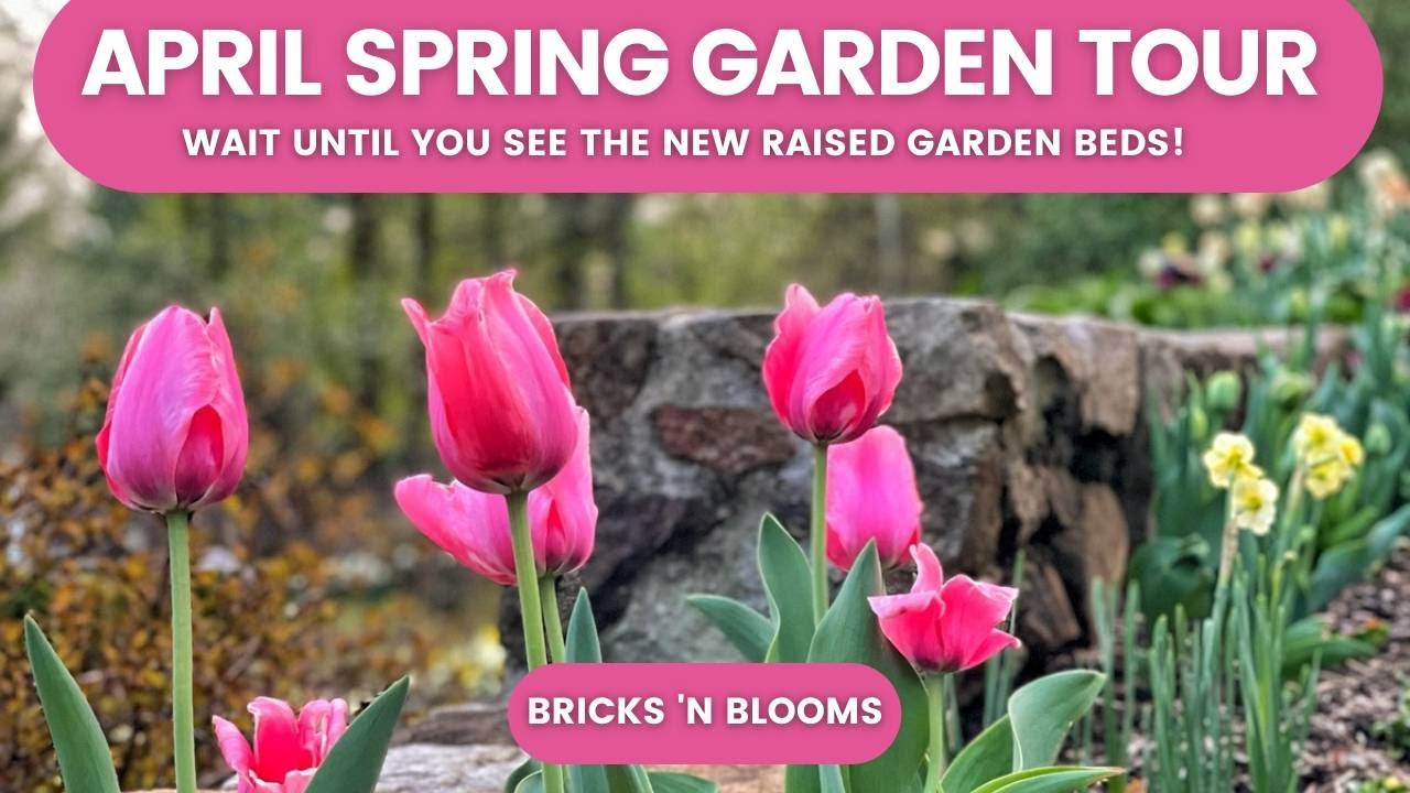 New Raised Garden Beds!!! // April Spring Garden Tour // Tulips // Bricks 'n Blooms
