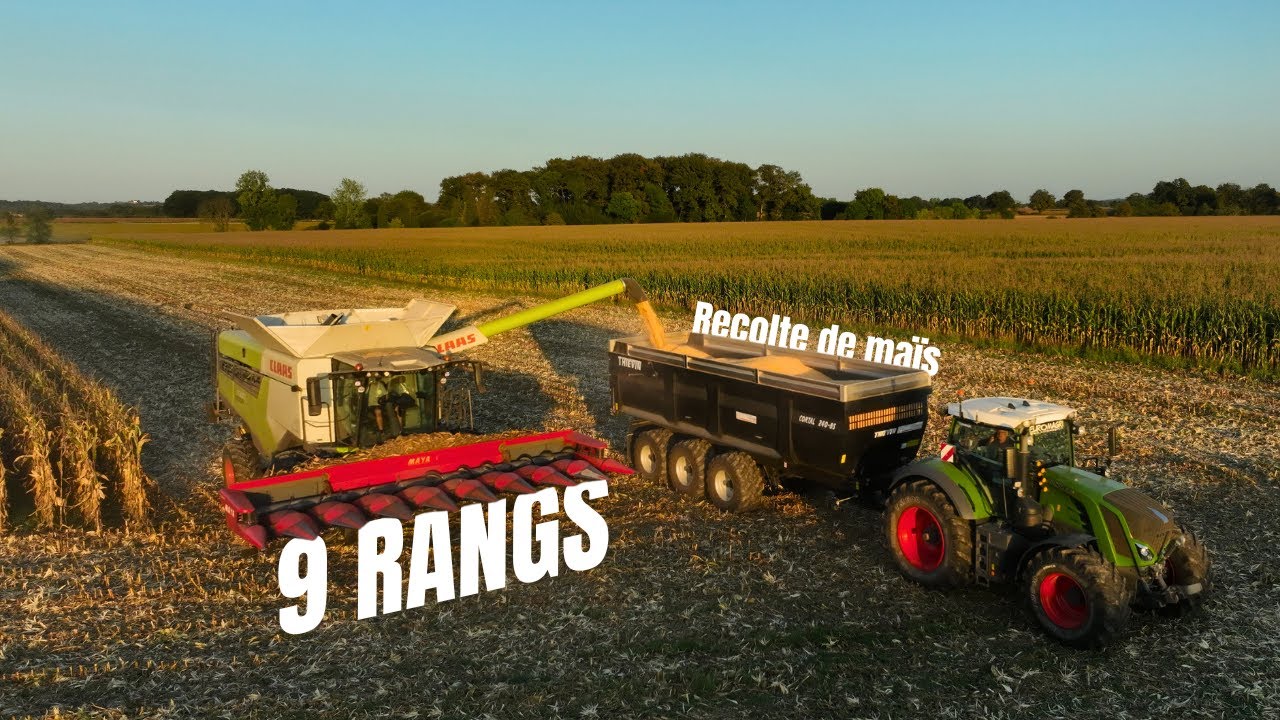 Récolte de maïs grain 2025🌽 Claas lexion 7500 & cueilleur maya 9 rangs