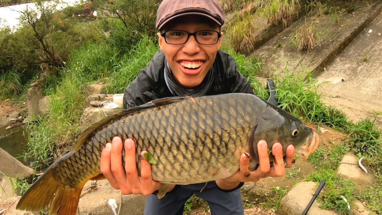 這魚大到我懷疑自己的眼睛! | 【在台北市釣魚】EP.5 確定餒?! | 2018/04/28 | FishingVlogInTaipei