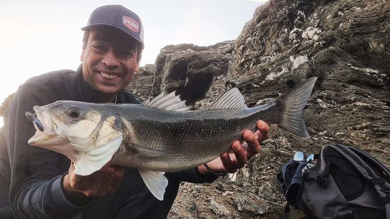 BARS du BORD Aux Leurres . Mes 2 dernières sorties de pêche du bord en mer