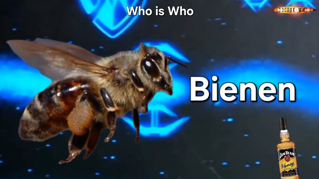 Was sind Bienen?🐝 | Who is Who in Doctor Who