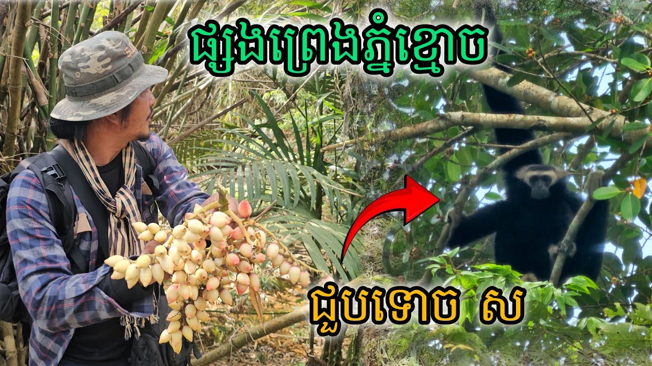 ផ្សងព្រេងភ្នំខ្មោចជួបទោច ស