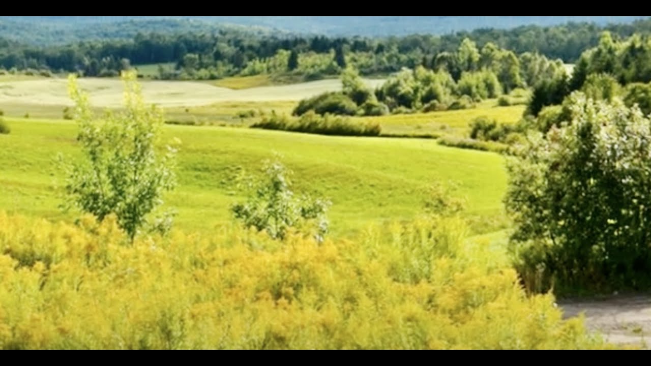 La Vallée de Kiamika.