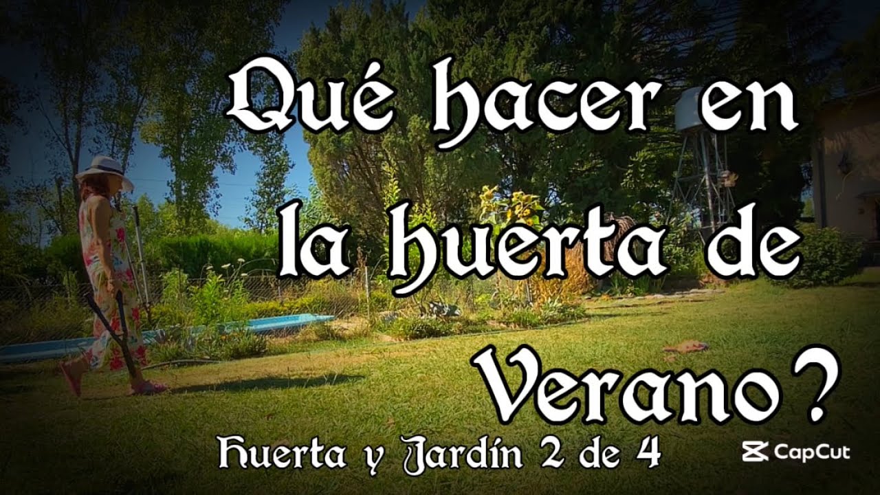 Qué hacer en la huerta en verano? Parte 2 de 4