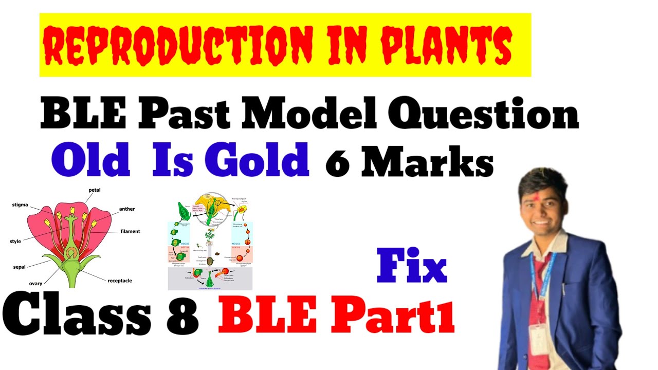 reproduction in plant part1 ||class 8 BLE|| Science Model Question Solutions from old is gold