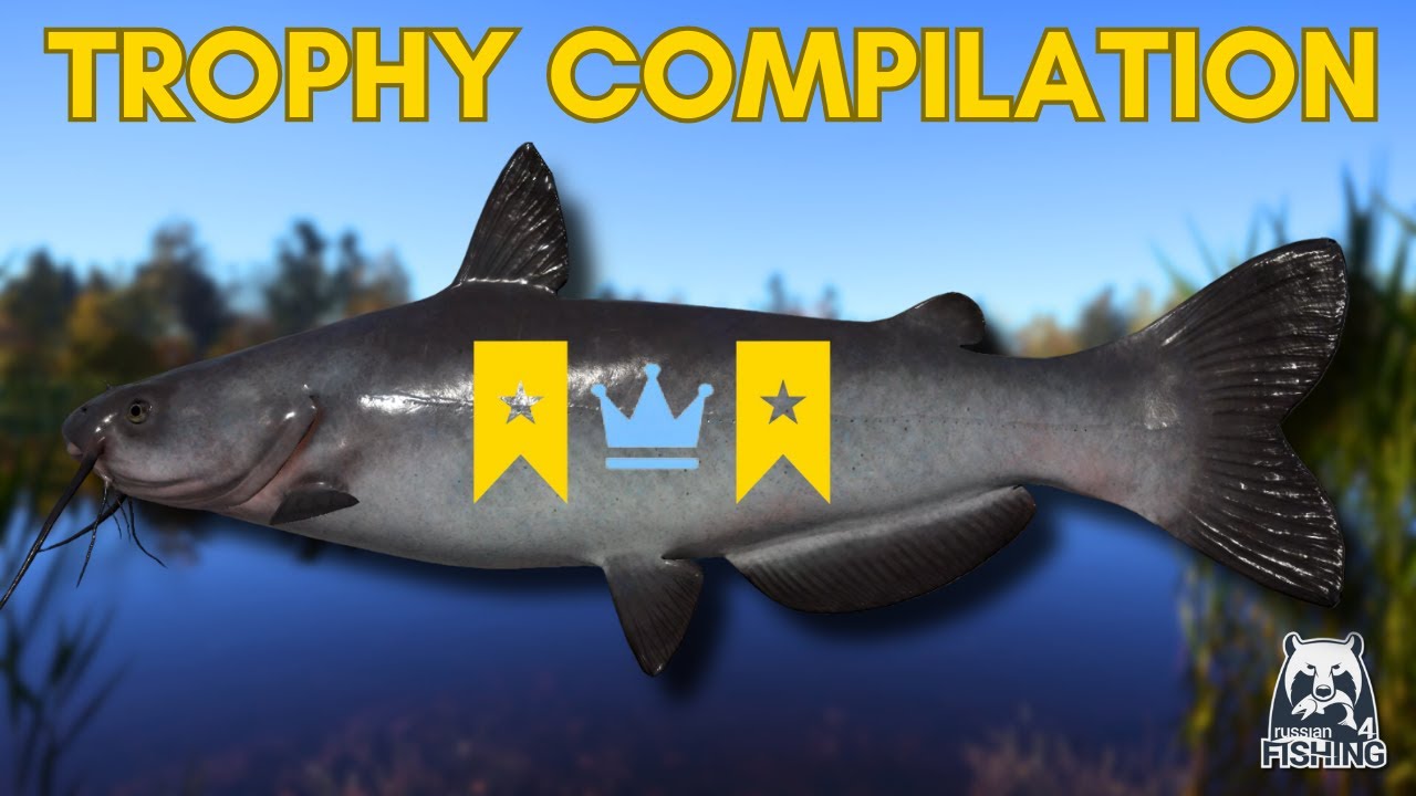 Trophy Compilation - Russian Fishing 4