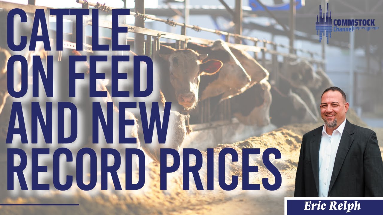 Cattle On feed  And New Record Prices With Eric Relph