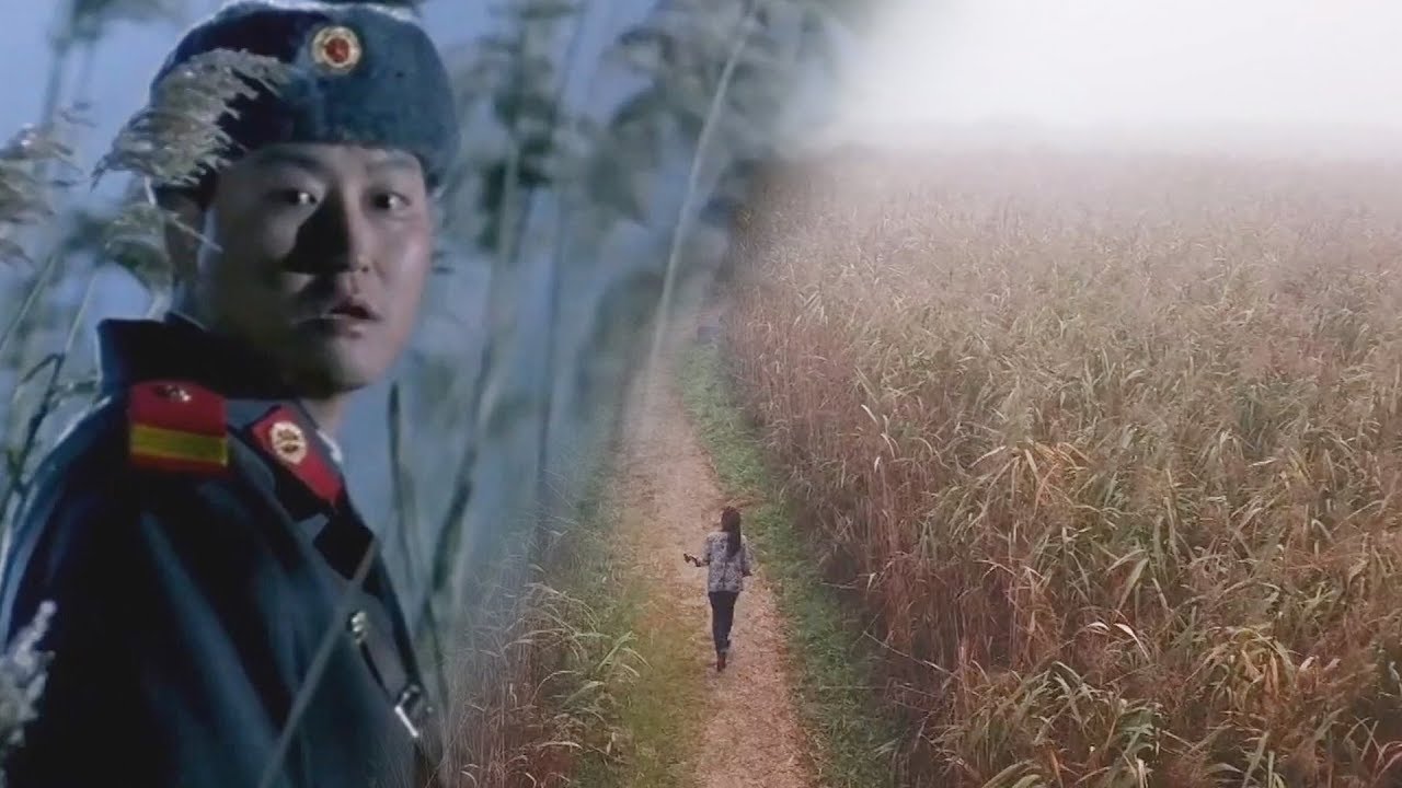 영화에도 나왔다! 서천 신성리 갈대밭 @생방송 투데이 2438회 20191025