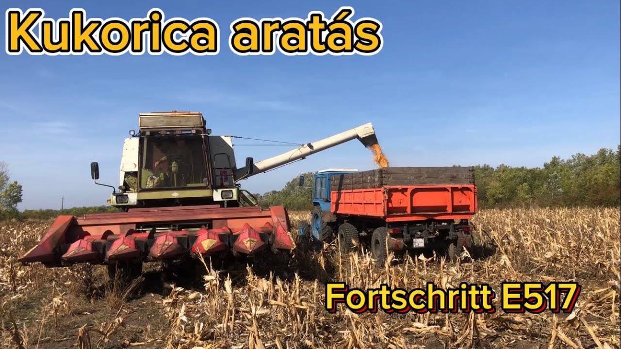 Kukorica aratás 2023 | Fortschritt E517 + Oros 6011