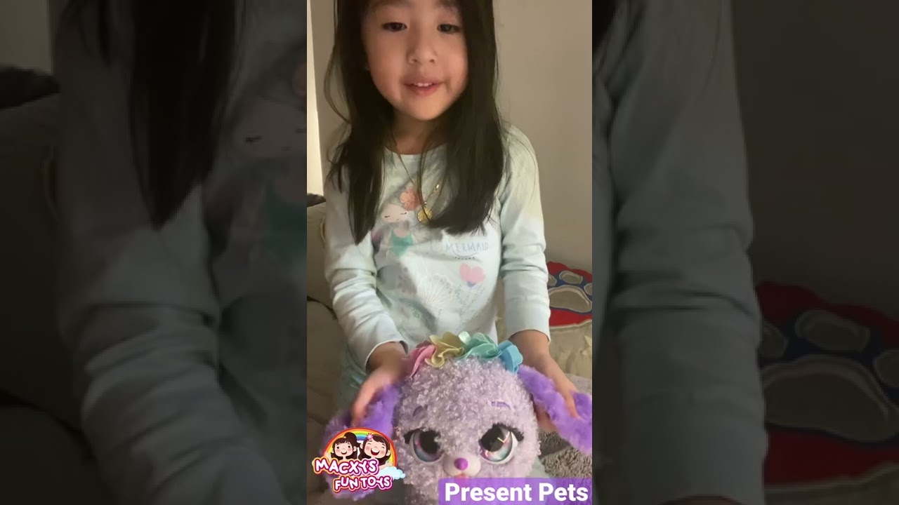 Macy loves her new present pets toy!