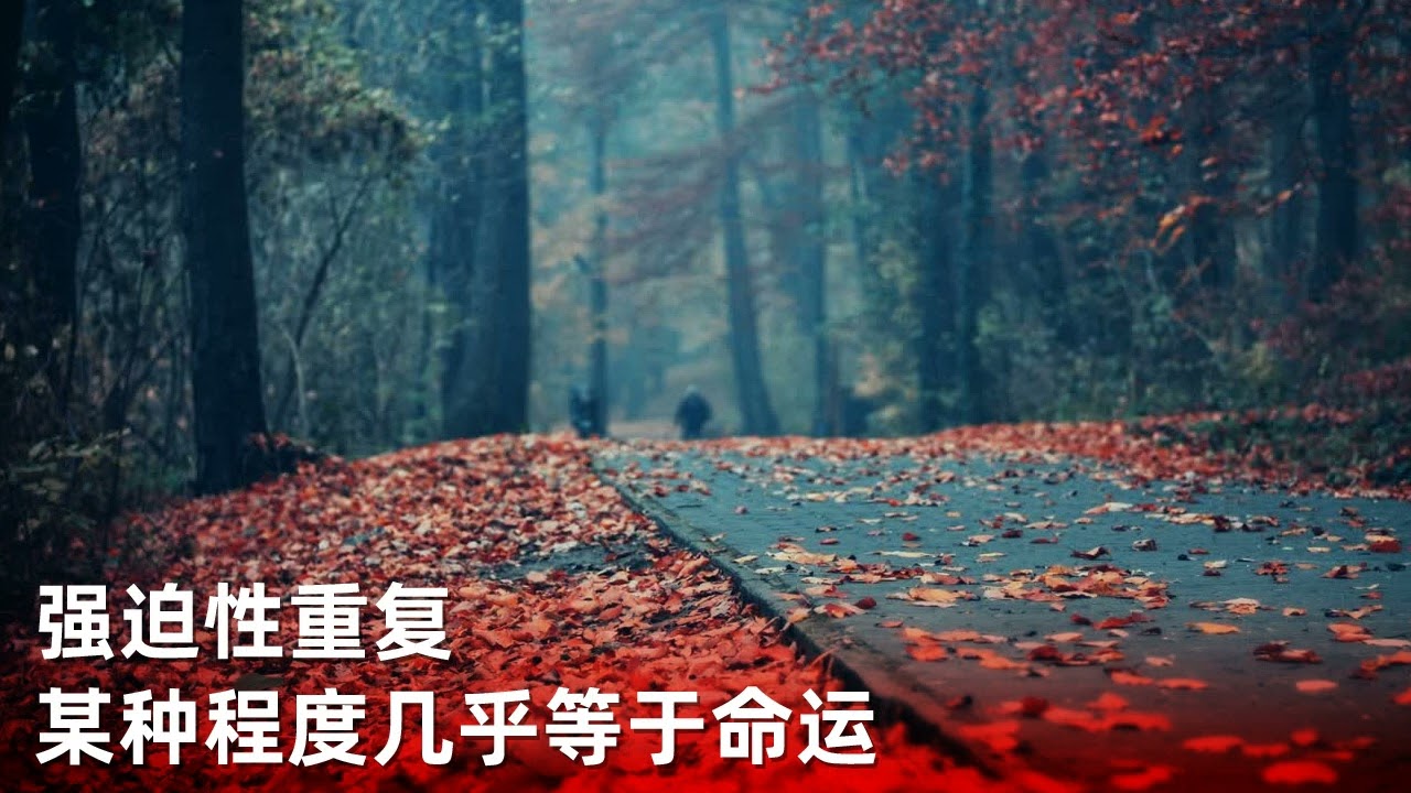 精神分析 情感隔离：共情能力的匮乏 强迫性重复：某种程度几乎等于命运 攻击性：人的基本动力 反向形成：回避深度的自我觉察 自我的边界：健康人格的显著特征