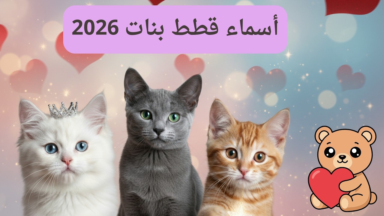 أسماء قطط بنات 2026 ومعانيها 🐈‍⬛ دليلك الشامل لاختيار اسم مميز لقطتك.