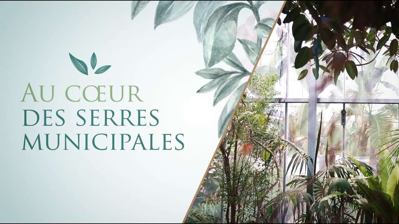 Au cœur des serres municipales de Reims