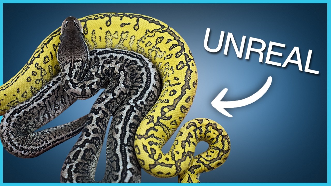 MAJOR Monsoon Project Milestone! | 2026 Update