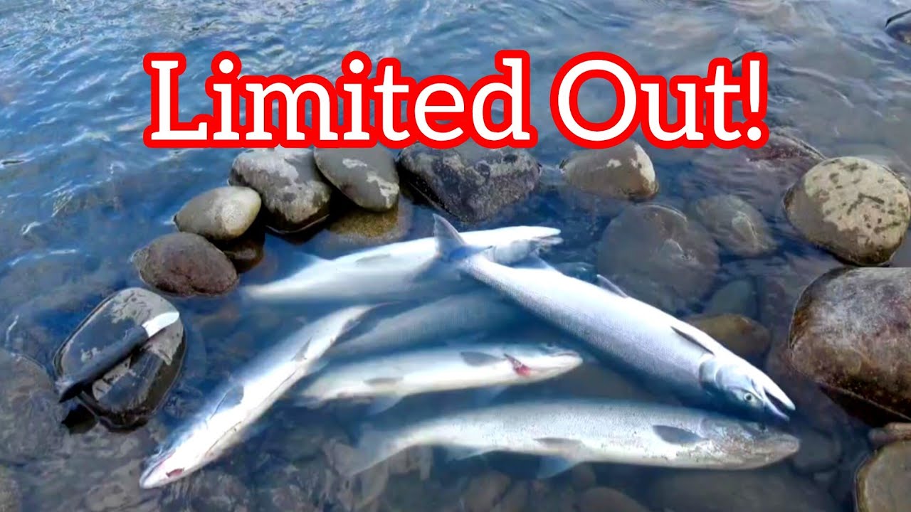 LIMITED Out! | Salmon Fishing | Sockeye | B.C. 🇨🇦
